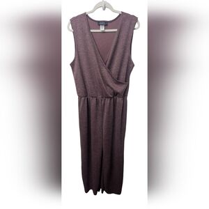 Shimmery Jumpsuit 2X